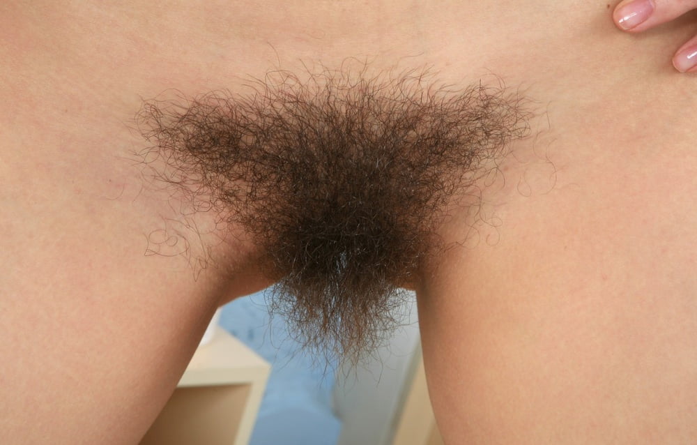 Your daily dose of hairy pussy #102709739