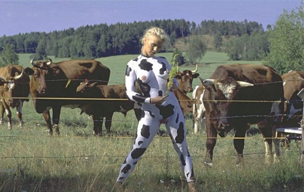 Cow Training #81796587
