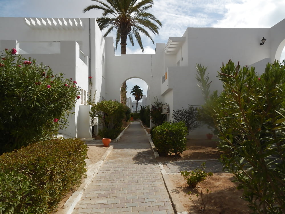 Djerba-isola, tunisia con la mia ragazza amorevole galina
 #106710500