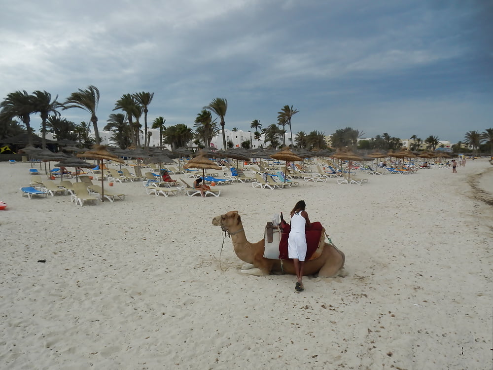 Djerba-isola, tunisia con la mia ragazza amorevole galina
 #106710512