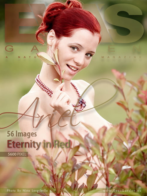 Do you Like Redheads?The Ginger Gallery. 71 #94073619
