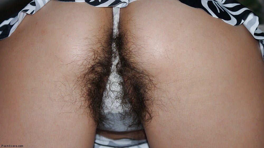 Hairy pussy 6 #97659628