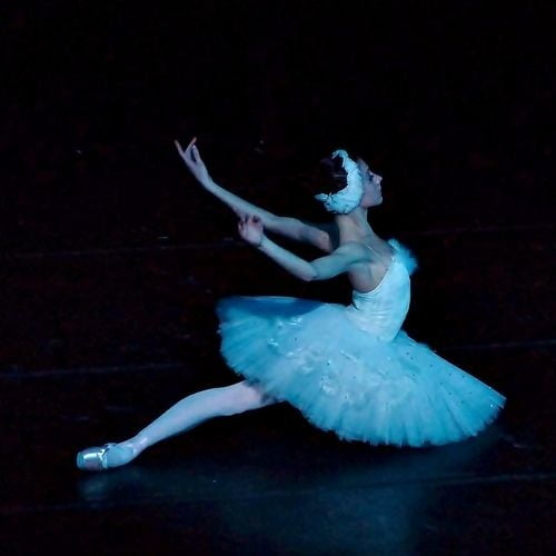 Ballerinas
 #94464356