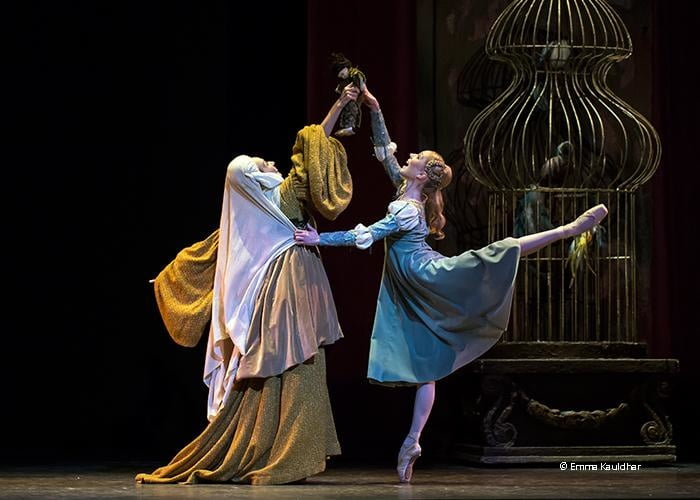 Ballerinas
 #94465812