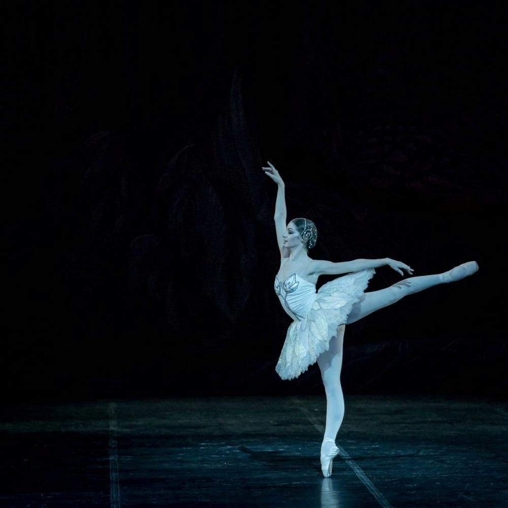 Ballerinas
 #94466233