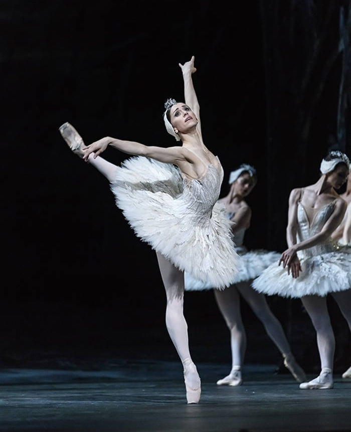 Ballerinas
 #94466468