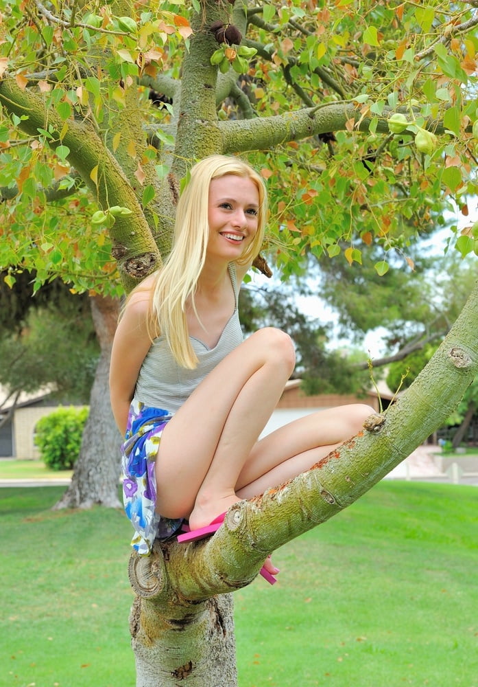 Tree Huggers 375 #90698747