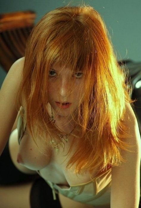 Redheads #95572711