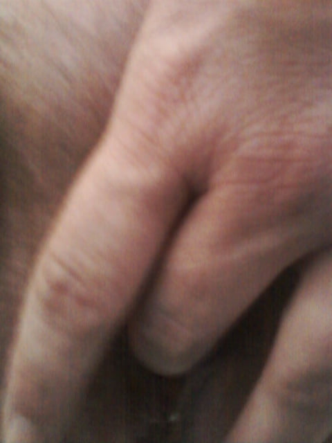 プッシー
 #101295715