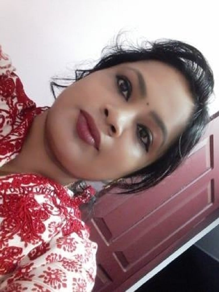 Bengalí corto y primo cubby
 #92678232