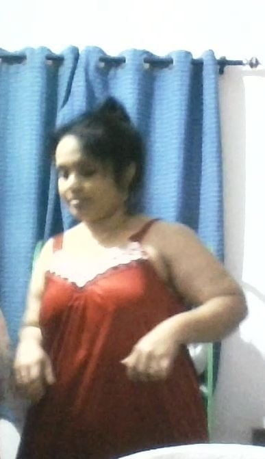 Bengalí corto y primo cubby
 #92678250