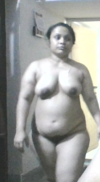 Bengalí corto y primo cubby
 #92678370