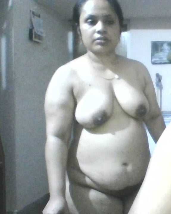 Bengalí corto y primo cubby
 #92678371