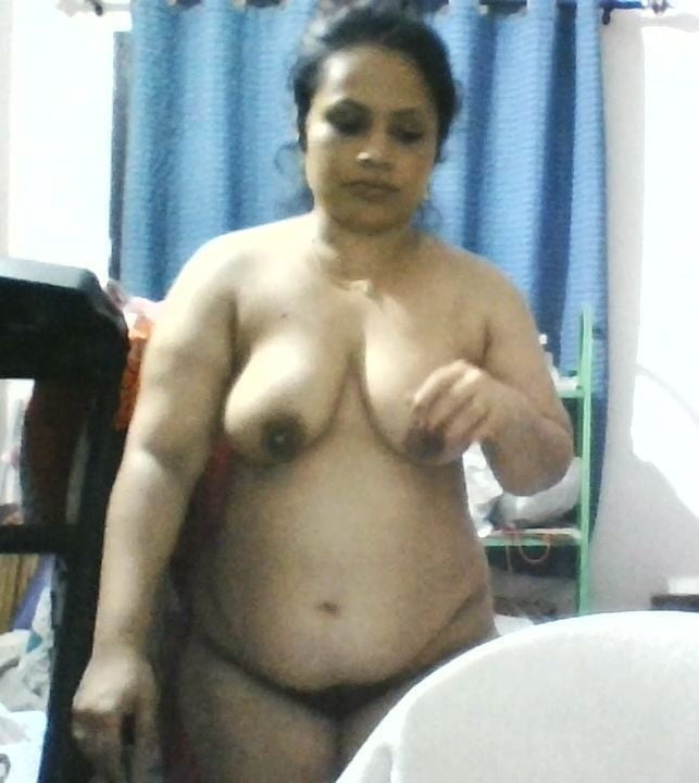 Bengalí corto y primo cubby
 #92678373