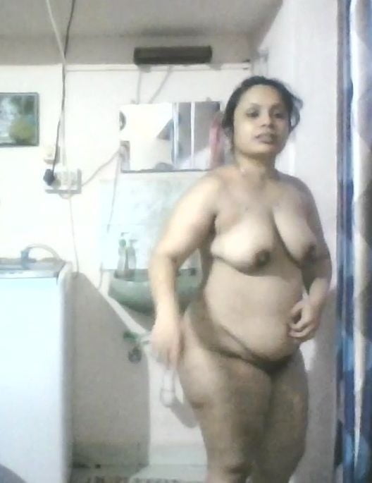 Bengalí corto y primo cubby
 #92678376