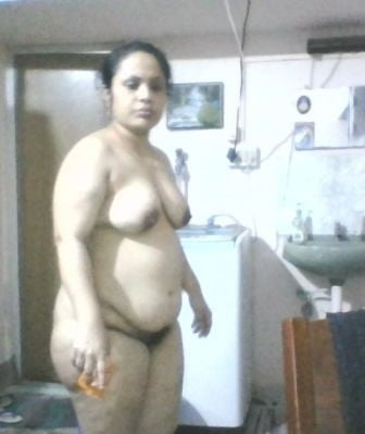 Bengalí corto y primo cubby
 #92678399