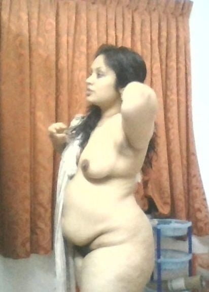 Bengalí corto y primo cubby
 #92678430