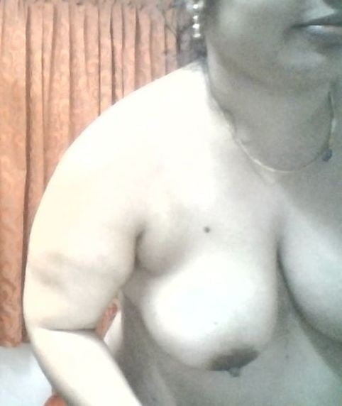 Bengalí corto y primo cubby
 #92678433