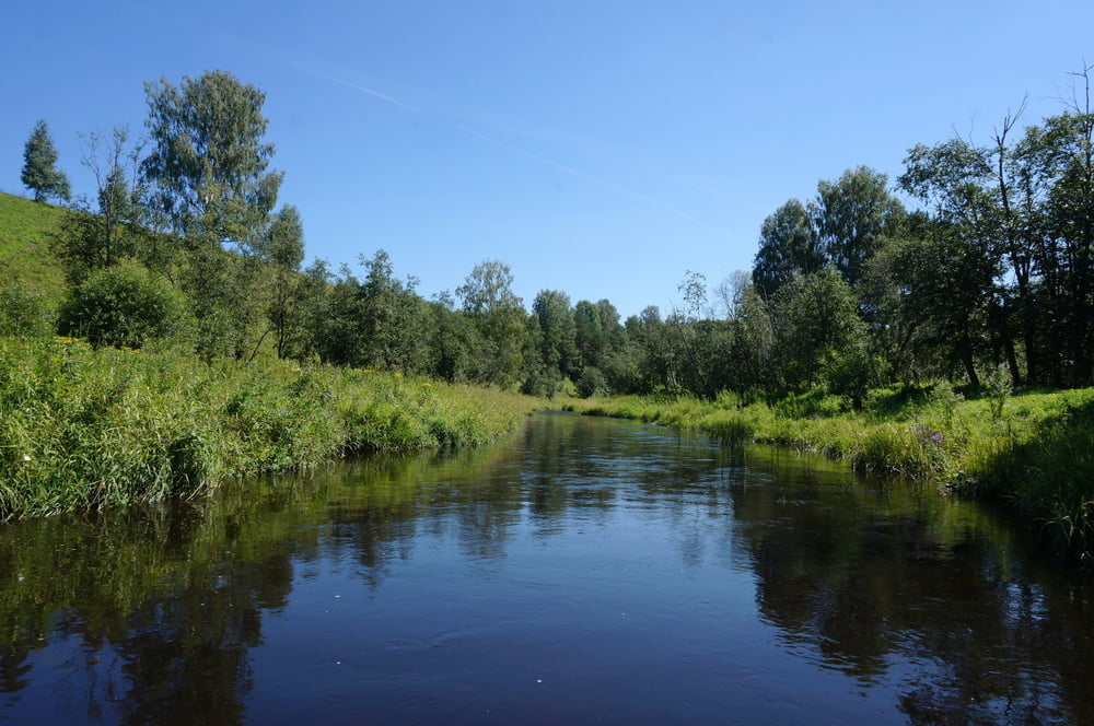 Nude walk upon river #106173782