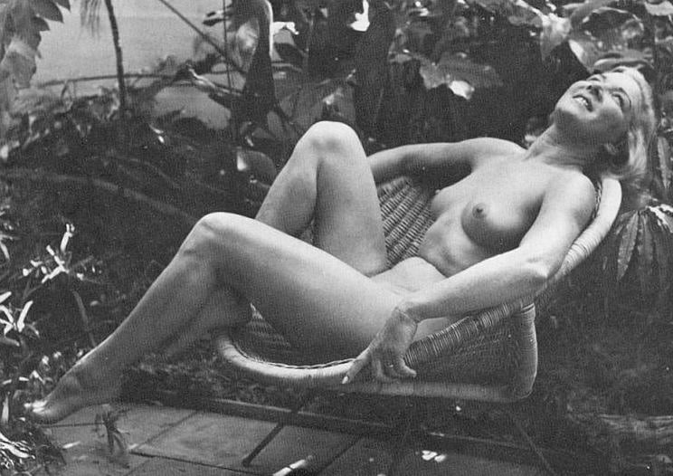 Vintage nudist
 #106049761