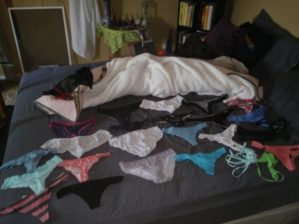 Sharry s room raided (not mine)
 #96945967