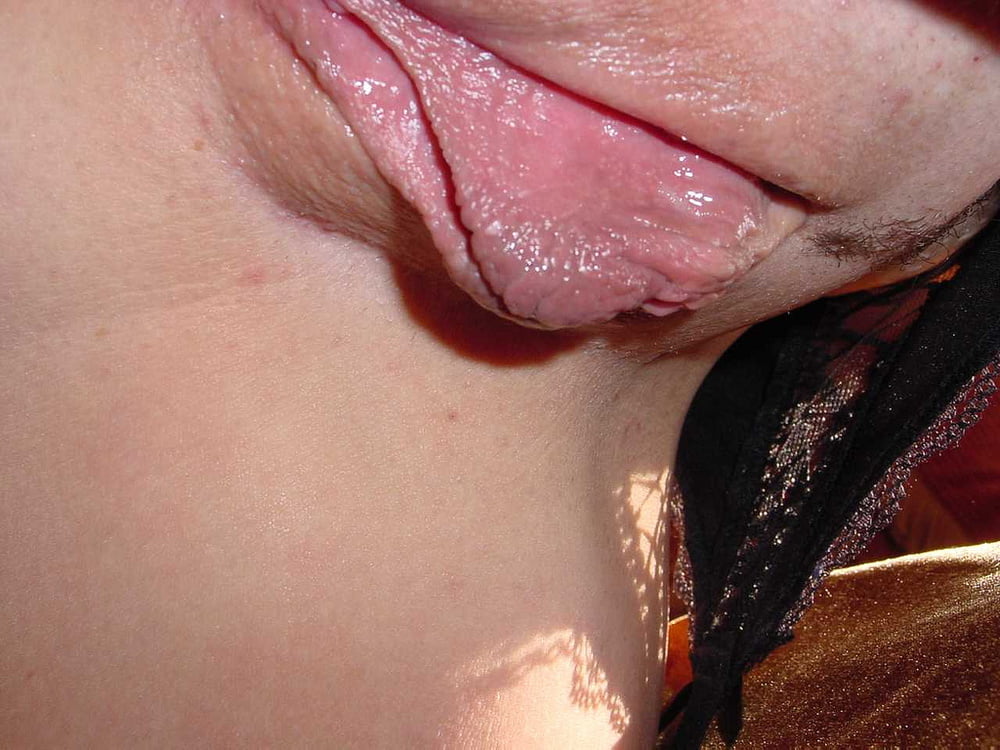 5. gordon y carolanne
 #91426678