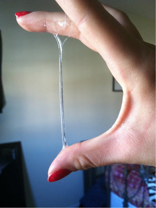 5. gordon y carolanne
 #91426684