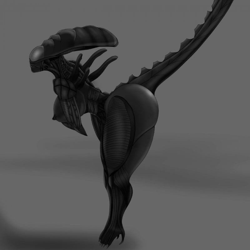 Aliens porn and pinups: Sexy xenomorphs #101335280