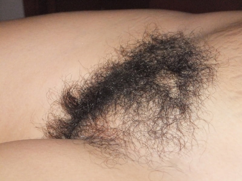 Snevla hairy pussy #103114553