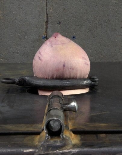 Pechos comprimidos
 #95316876