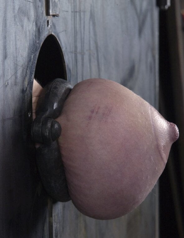 Pechos comprimidos
 #95316882