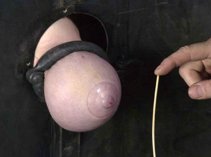 Pechos comprimidos
 #95316894