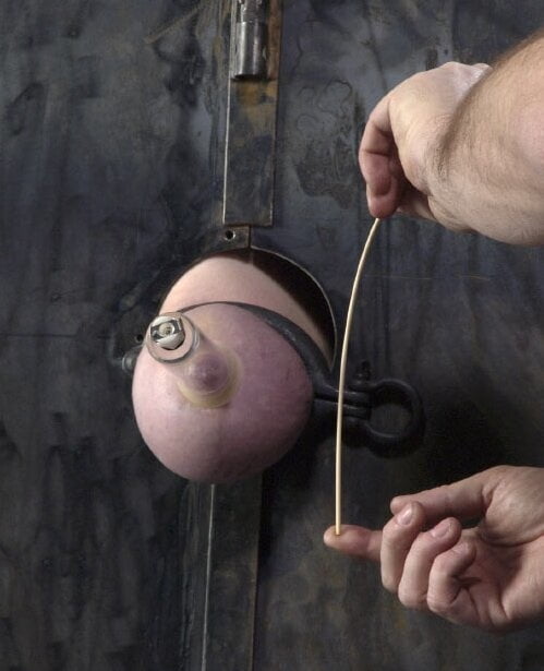 Pechos comprimidos
 #95316900