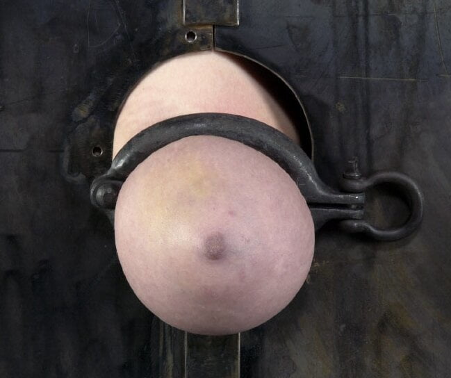 Pechos comprimidos
 #95316909