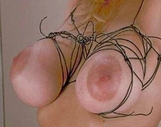 Pechos comprimidos
 #95317085