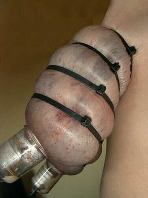 Pechos comprimidos
 #95317333