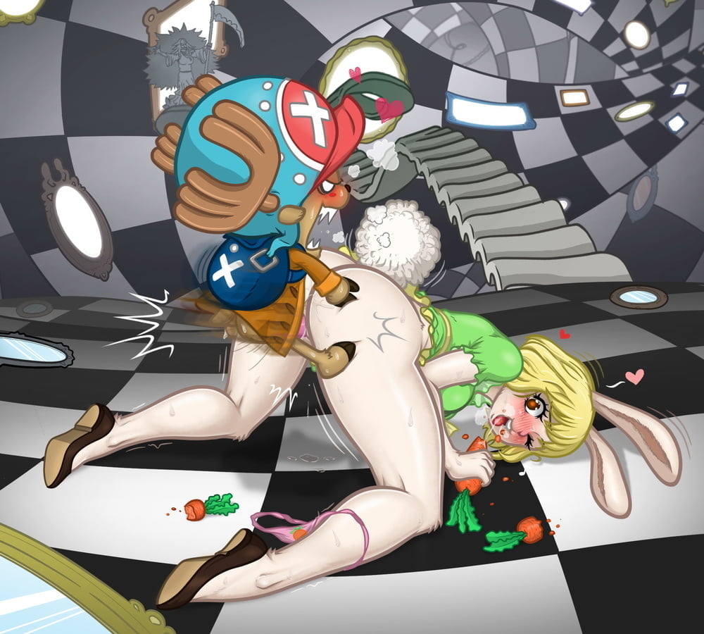 Colección de una pieza
 #88492842