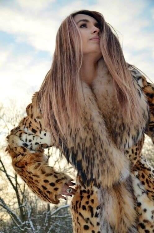 セクシーなアニマルプリント #4
 #91662470