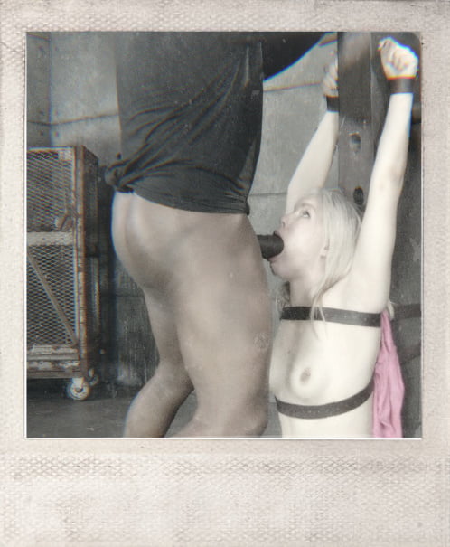 From the Vault Volume 11 #81874821