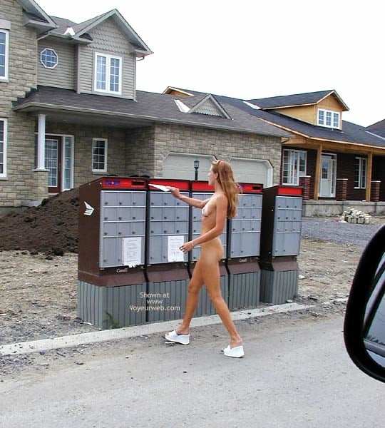 スウィートクリティ
 #81086486