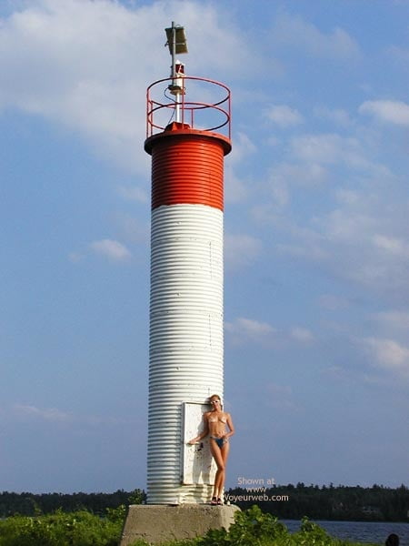 スウィートクリティ
 #81086509