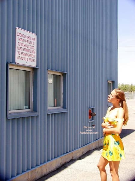 スウィートクリティ
 #81086694