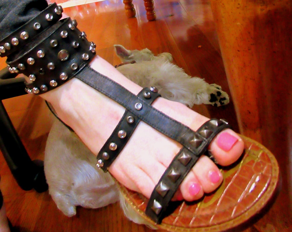 Gladiadores misc
 #92729075