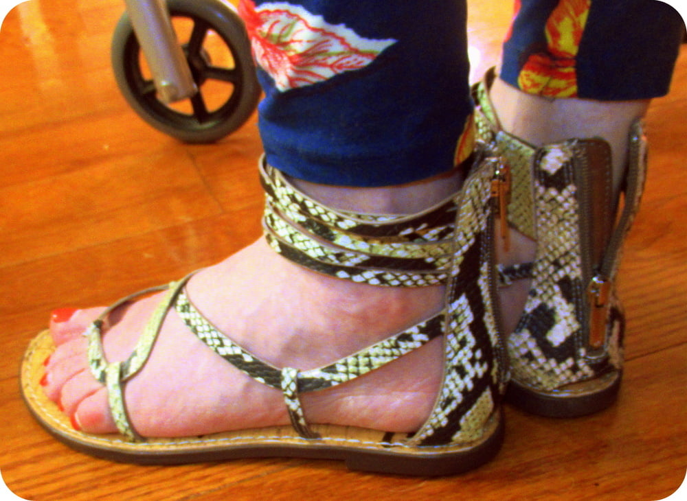 Gladiadores misc
 #92729478