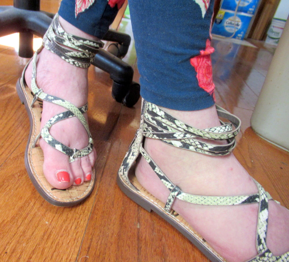 Gladiadores misc
 #92729547