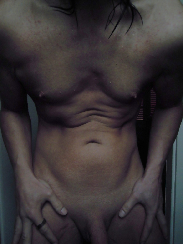 Tygra&#039;s chest #106744835