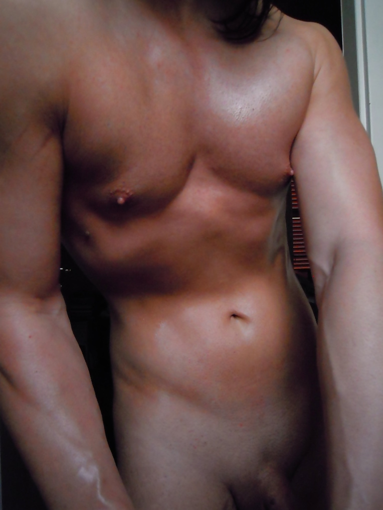 Tygra&#039;s chest #106744871