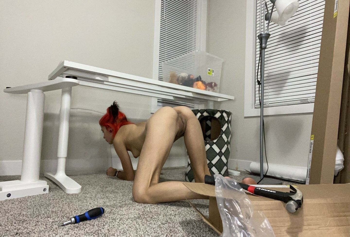 Venus Kitty desnuda #108168069