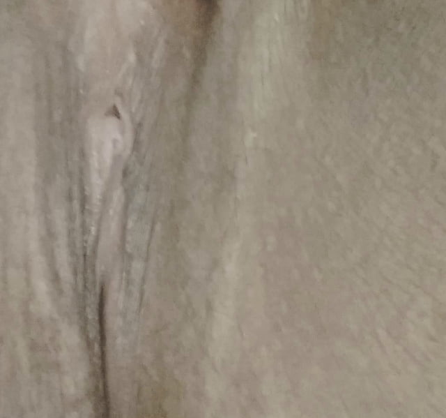 その他の写真
 #106467544