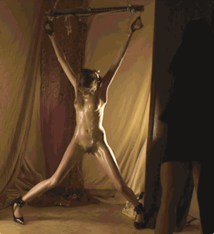 on leash slave domination femdom mistress cage training #103332518